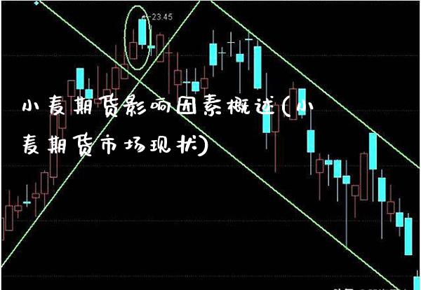 小麦期货影响因素概述(小麦期货市场现状)