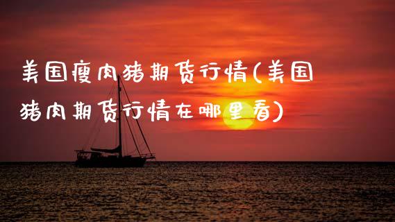 美国瘦肉猪期货行情(美国猪肉期货行情在哪里看)_https://www.boyangwujin.com_恒生指数_第1张