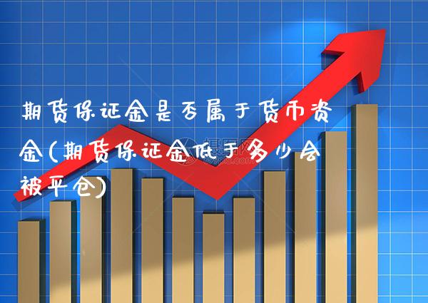 期货保证金是否属于货币资金(期货保证金低于多少会被平仓)_https://www.boyangwujin.com_白银期货_第1张