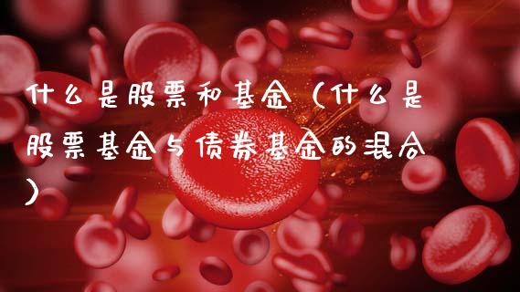 什么是股票和基金（什么是股票基金与债券基金的混合）_https://www.boyangwujin.com_原油期货_第1张