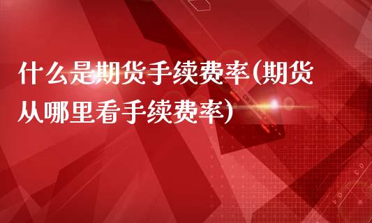 什么是期货手续费率(期货从哪里看手续费率)