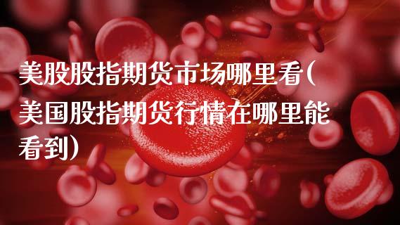美股股指期货市场哪里看(美国股指期货行情在哪里能看到)