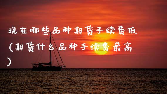 现在哪些品种期货手续费低(期货什么品种手续费最高)_https://www.boyangwujin.com_黄金期货_第1张