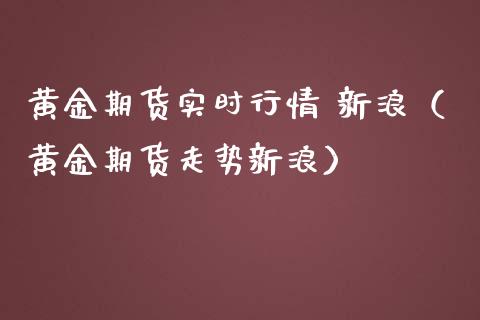 黄金期货实时行情 新浪（黄金期货走势新浪）