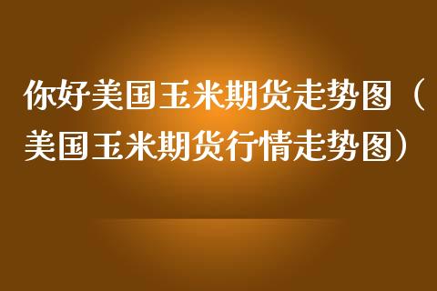 你好美国玉米期货走势图（美国玉米期货行情走势图）_https://www.boyangwujin.com_原油期货_第1张