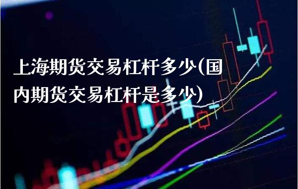 上海期货交易杠杆多少(国内期货交易杠杆是多少)_https://www.boyangwujin.com_期货直播间_第1张