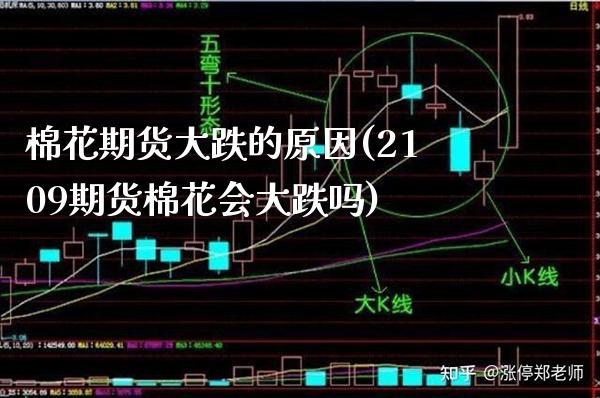 棉花期货大跌的原因(2109期货棉花会大跌吗)_https://www.boyangwujin.com_期货直播间_第1张