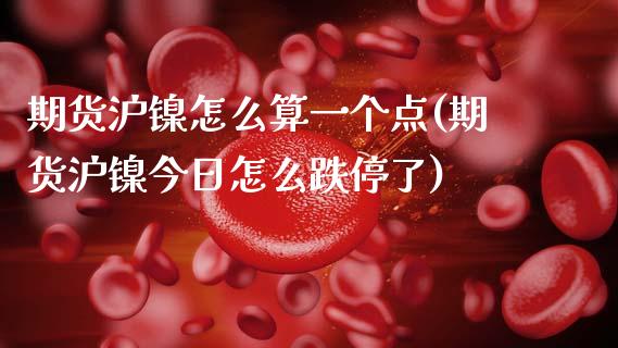 期货沪镍怎么算一个点(期货沪镍今日怎么跌停了)_https://www.boyangwujin.com_恒生指数_第1张