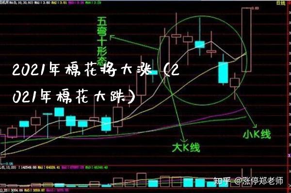 2021年棉花将大涨（2021年棉花大跌）