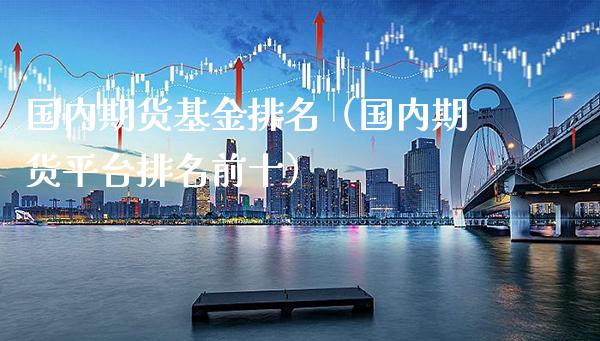 国内期货基金排名（国内期货平台排名前十）