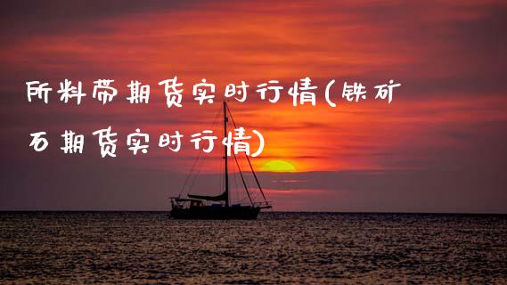 所料带期货实时行情(铁矿石期货实时行情)_https://www.boyangwujin.com_恒指期货_第1张
