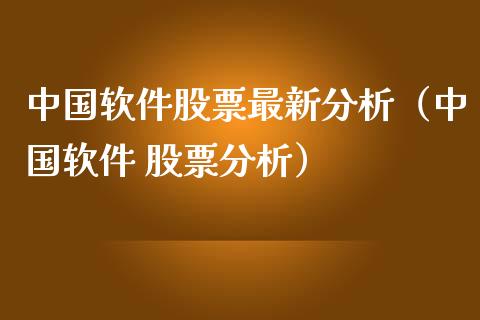 中国软件股票最新分析（中国软件 股票分析）