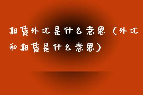 期货外汇是什么意思（外汇和期货是什么意思）_https://www.boyangwujin.com_道指期货_第1张