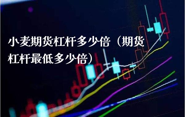 小麦期货杠杆多少倍（期货杠杆最低多少倍）_https://www.boyangwujin.com_期货直播间_第1张