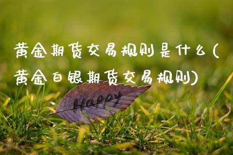 黄金期货交易规则是什么(黄金白银期货交易规则)_https://www.boyangwujin.com_期货直播间_第1张
