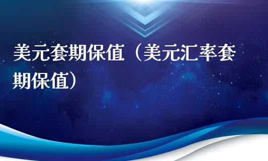 美元套期保值（美元汇率套期保值）