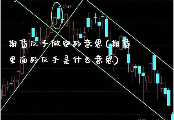 期货反手做空的意思(期货里面的反手是什么意思)_https://www.boyangwujin.com_期货直播间_第1张