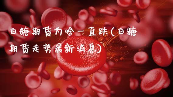 白糖期货为啥一直跌(白糖期货走势最新消息)_https://www.boyangwujin.com_原油直播间_第1张
