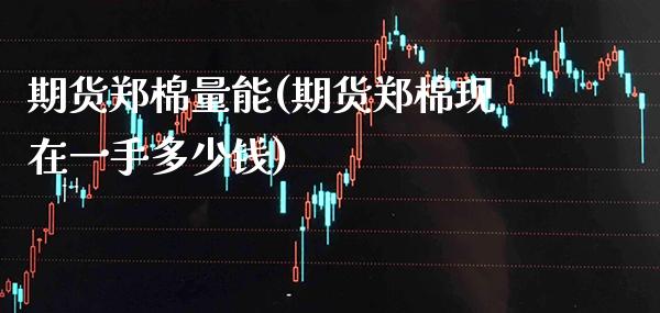 期货郑棉量能(期货郑棉现在一手多少钱)_https://www.boyangwujin.com_期货直播间_第1张