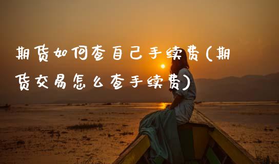 期货如何查自己手续费(期货交易怎么查手续费)