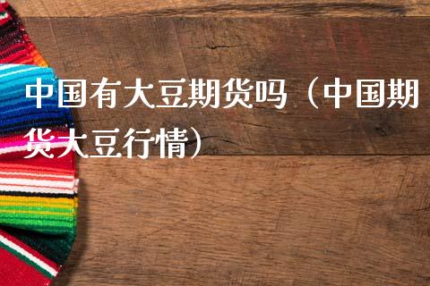 中国有大豆期货吗（中国期货大豆行情）_https://www.boyangwujin.com_期货直播间_第1张