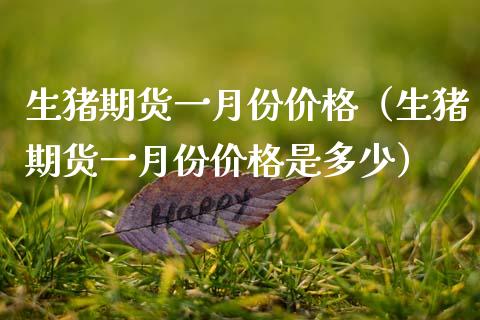 生猪期货一月份价格（生猪期货一月份价格是多少）