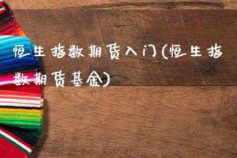 恒生指数期货入门(恒生指数期货基金)