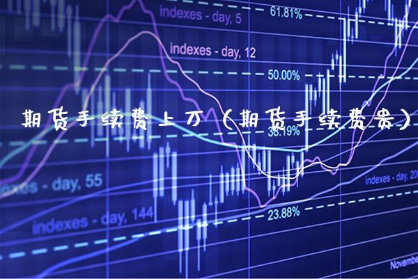 期货手续费上万（期货手续费贵）_https://www.boyangwujin.com_期货直播间_第1张