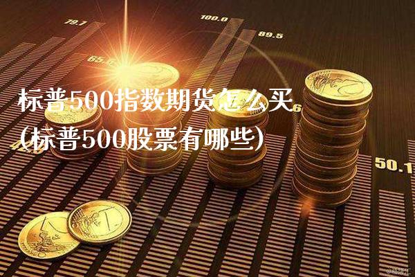 标普500指数期货怎么买(标普500股票有哪些)_https://www.boyangwujin.com_内盘期货_第1张