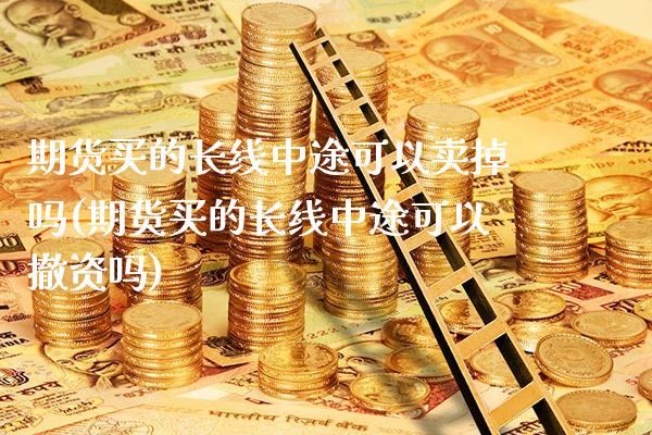 期货买的长线中途可以卖掉吗(期货买的长线中途可以撤资吗)_https://www.boyangwujin.com_期货直播间_第1张