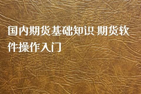 国内期货基础知识 期货软件操作入门_https://www.boyangwujin.com_期货直播间_第1张