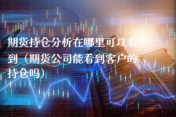 期货持仓分析在哪里可以看到（期货公司能看到客户的持仓吗）