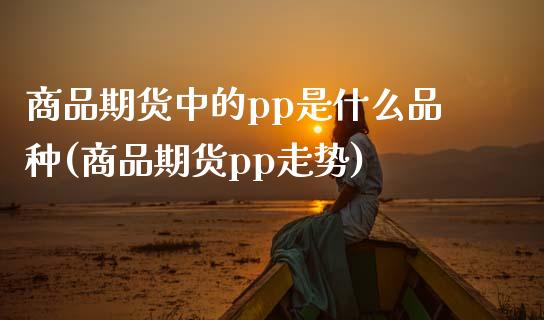商品期货中的pp是什么品种(商品期货pp走势)_https://www.boyangwujin.com_期货科普_第1张