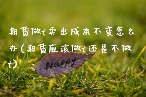 期货做t卖出成本不变怎么办(期货应该做t还是不做t)