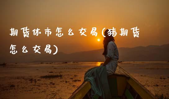期货休市怎么交易(猪期货怎么交易)