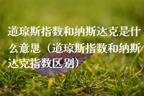 道琼斯指数和纳斯达克是什么意思（道琼斯指数和纳斯达克指数区别）_https://www.boyangwujin.com_原油期货_第1张
