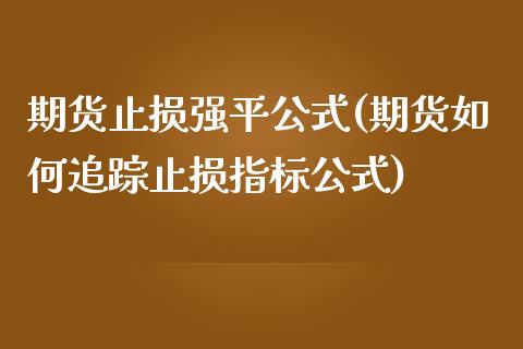 期货止损强平公式(期货如何追踪止损指标公式)