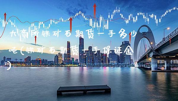 大商所铁矿石期货一手多少吨(铁矿石期货一手保证金)_https://www.boyangwujin.com_期货直播间_第1张