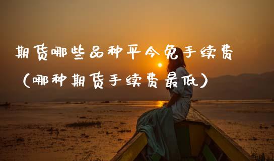 期货哪些品种平今免手续费（哪种期货手续费最低）_https://www.boyangwujin.com_期货直播间_第1张