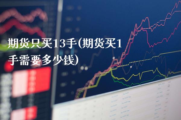 期货只买13手(期货买1手需要多少钱)_https://www.boyangwujin.com_期货直播间_第1张