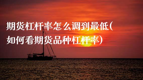 期货杠杆率怎么调到最低(如何看期货品种杠杆率)