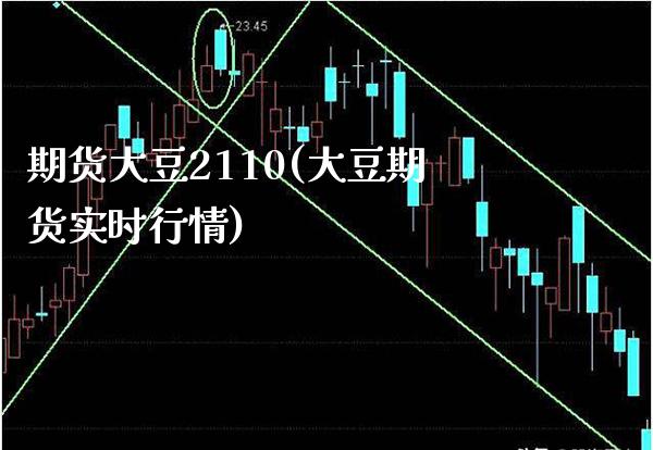 期货大豆2110(大豆期货实时行情)_https://www.boyangwujin.com_原油期货_第1张