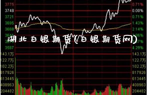 湖北白银期货(白银期货网)