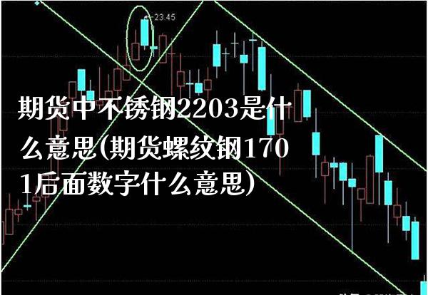 期货中不锈钢2203是什么意思(期货螺纹钢1701后面数字什么意思)_https://www.boyangwujin.com_恒指期货_第1张