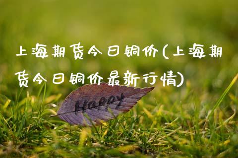 上海期货今曰铜价(上海期货今曰铜价最新行情)_https://www.boyangwujin.com_期货直播间_第1张