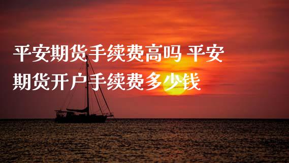 平安期货手续费高吗 平安期货开户手续费多少钱_https://www.boyangwujin.com_期货直播间_第1张