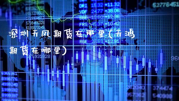 深圳天凤期货在那里(天鸿期货在哪里)