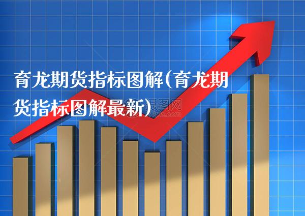 育龙期货指标图解(育龙期货指标图解最新)_https://www.boyangwujin.com_期货开户_第1张