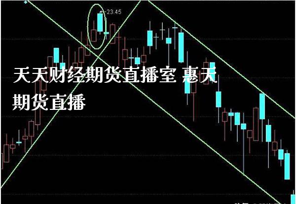 天天财经期货直播室 惠天期货直播_https://www.boyangwujin.com_期货直播间_第1张