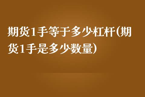 期货1手等于多少杠杆(期货1手是多少数量)